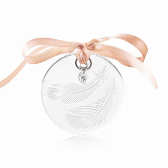 Christmas Ornament Feathers 6 cm clear
